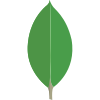 MongoDB